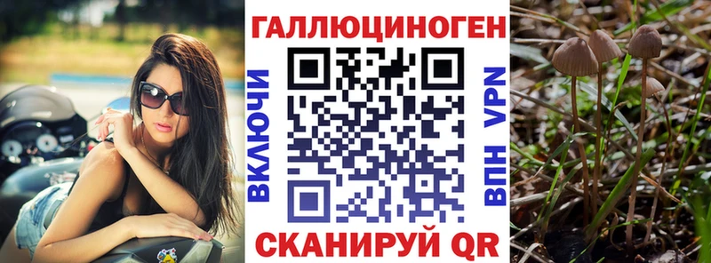Псилоцибиновые грибы Magic Shrooms Кировград